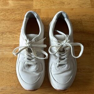 Everlane Court Sneakers Size 8.5